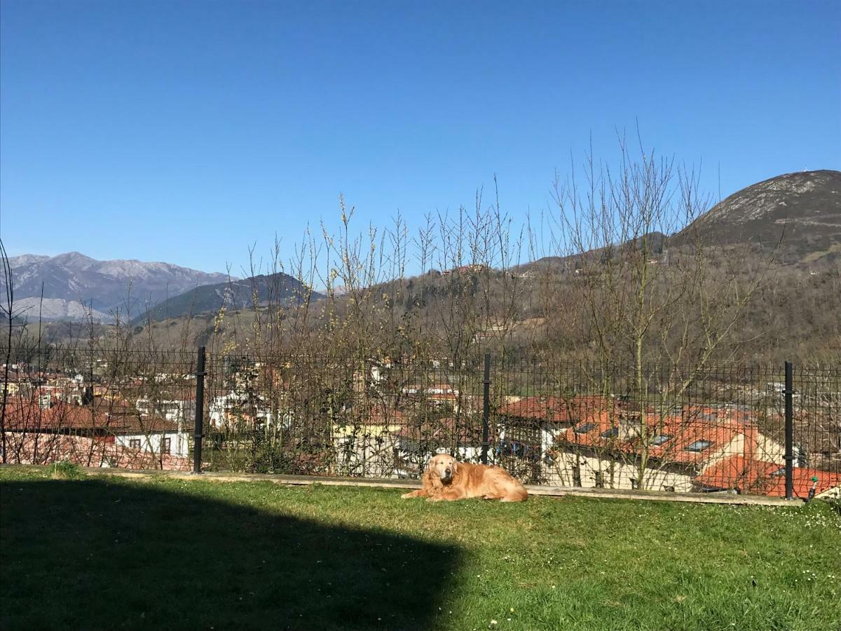 Apartamento Cangas Relax กังกัส เด โอนิส ภายนอก รูปภาพ